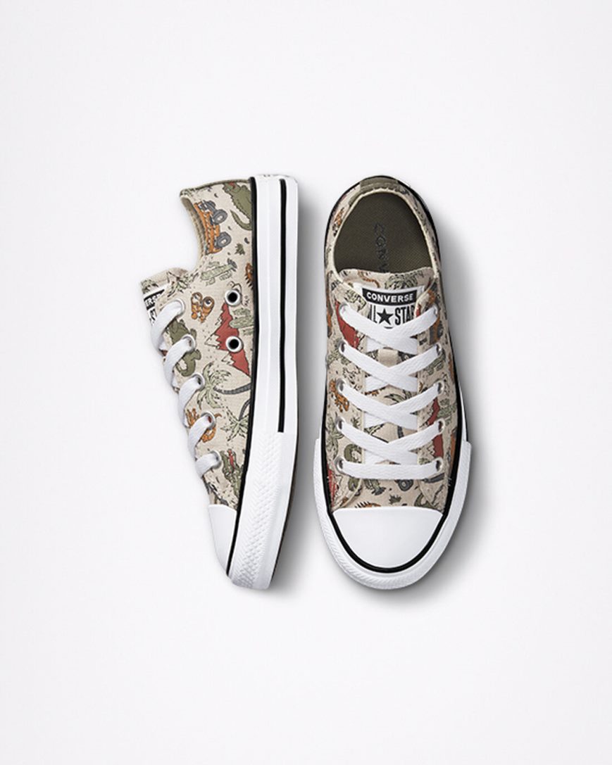 Boys' Converse Chuck Taylor All Star Desert Explorer Low Top Shoes Beige | AU 3C814H